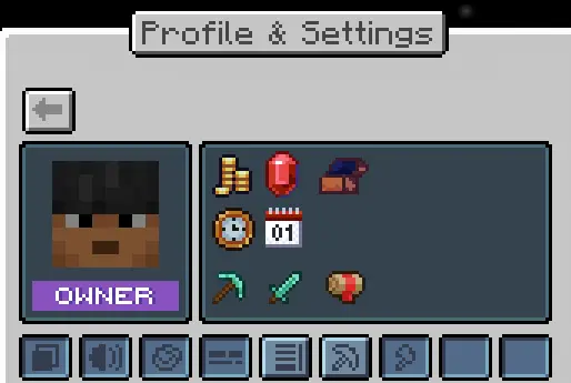 Profile with Stats & Custom Settings